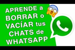 ¿Por qué no puedo eliminar un chat en WhatsApp? - Solución